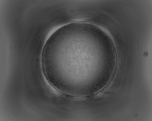 X0000093441440200710191031