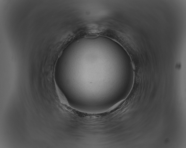 X0000093441441200710191030