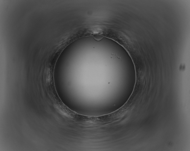 X0000093441442200710191030