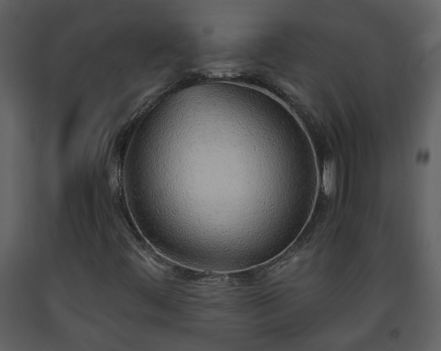 X0000093441444200710191030