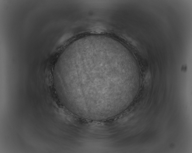 X0000093441446200710191030