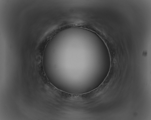 X0000093441447200710191030