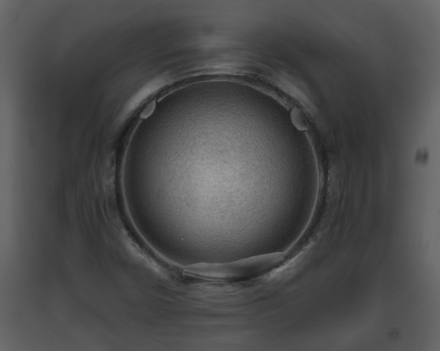 X0000093441450200710191030