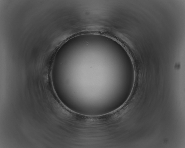 X0000093441451200710191030