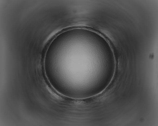 X0000093441452200710191030