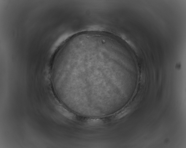 X0000093441454200710191030