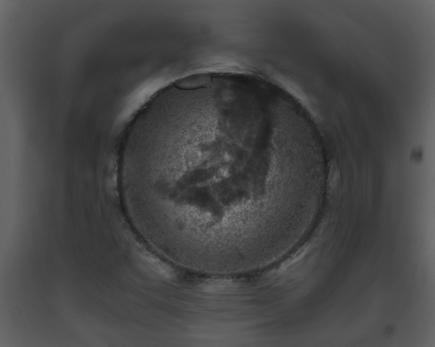 X0000093441455200710191030