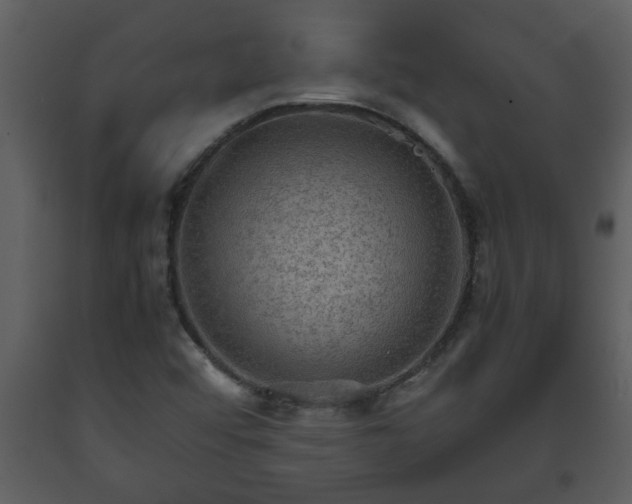 X0000093441456200710191030