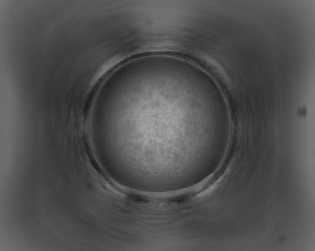 X0000093441457200710191030