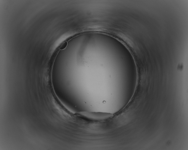 X0000093441458200710191030