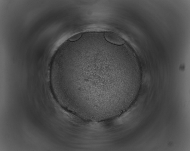 X0000093441459200710191030
