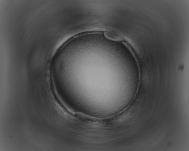 X0000093441460200710191030