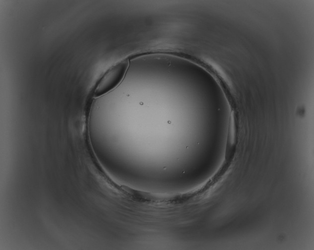 X0000093441461200710191030