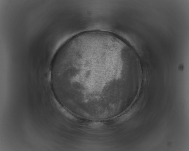 X0000093441462200710191030