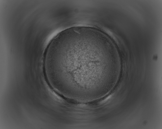 X0000093441463200710191030