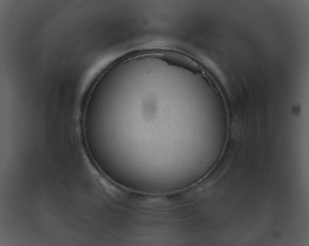 X0000093441464200710191030
