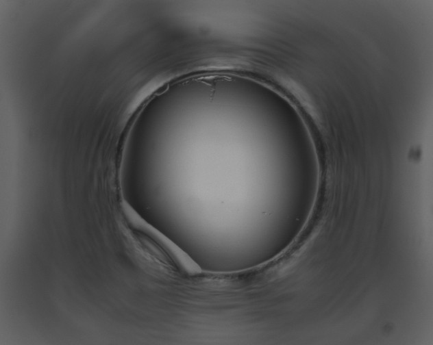 X0000093441465200710191030