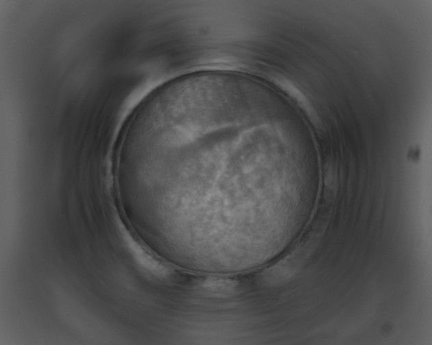 X0000093441466200710191030