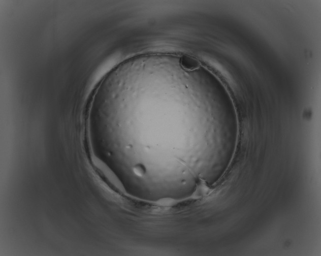 X0000093441467200710191030