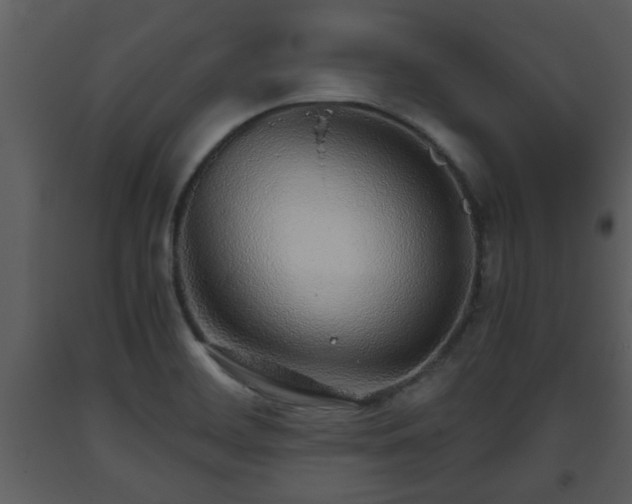 X0000093441468200710191030