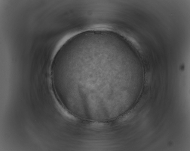 X0000093441470200710191030