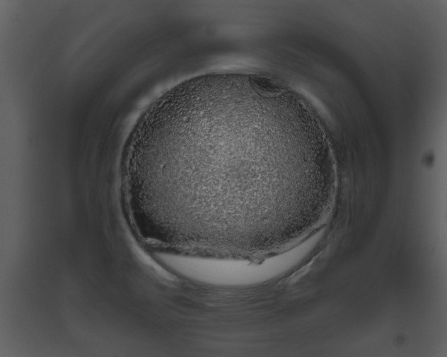 X0000093441471200710191030