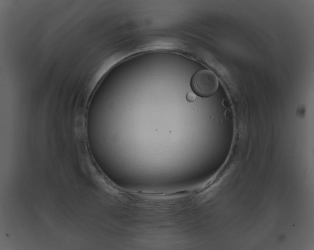 X0000093441473200710191030