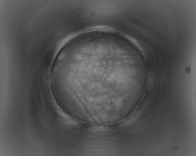 X0000093441474200710191030