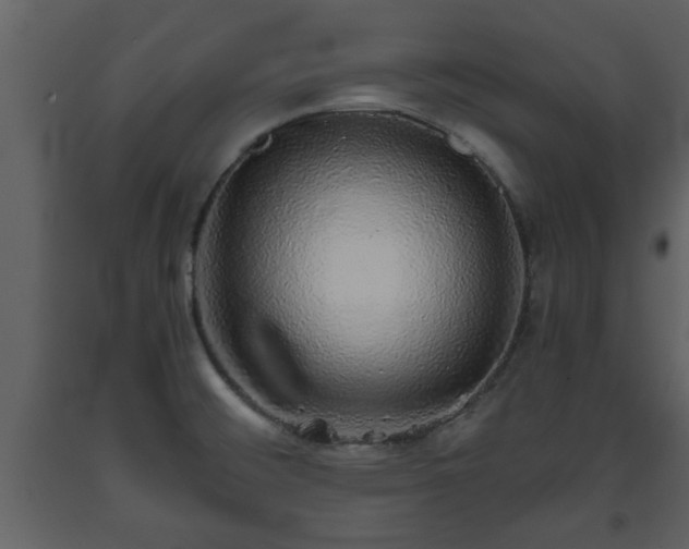 X0000093441476200710191030