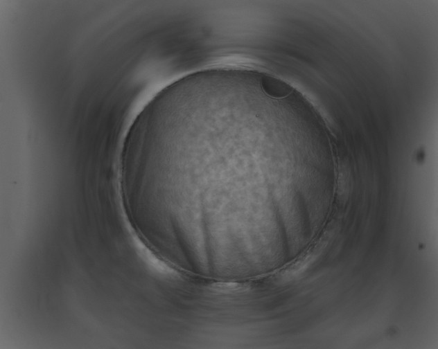 X0000093441478200710191030