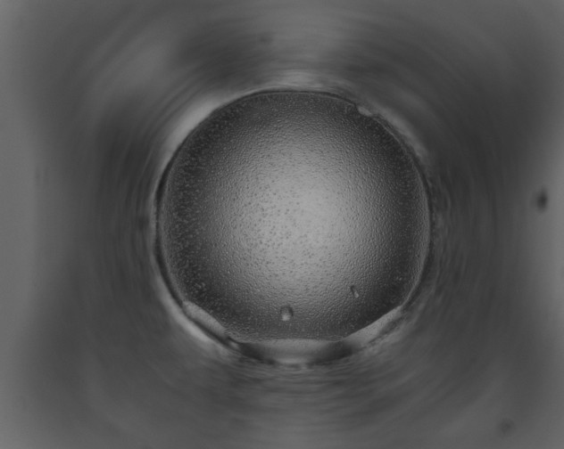 X0000093441479200710191030