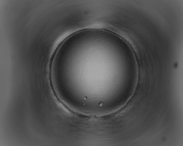 X0000093441480200710191030