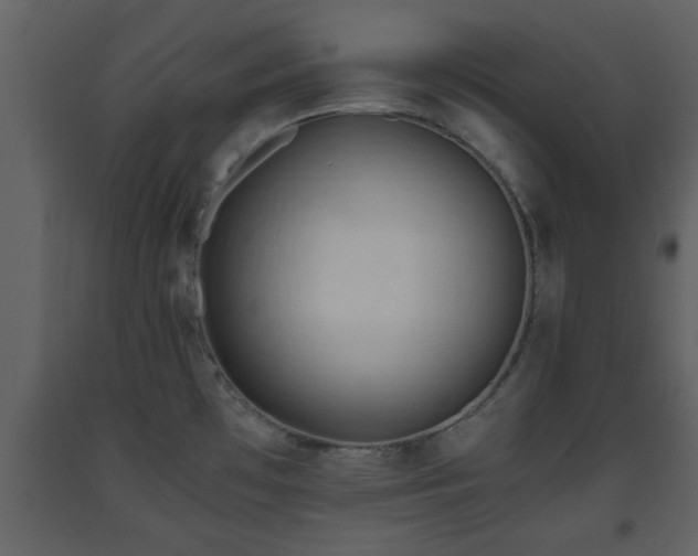 X0000093441481200710191030