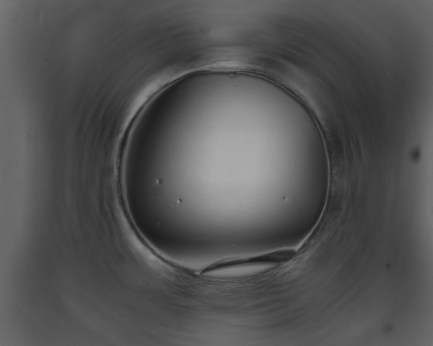 X0000093441483200710191030