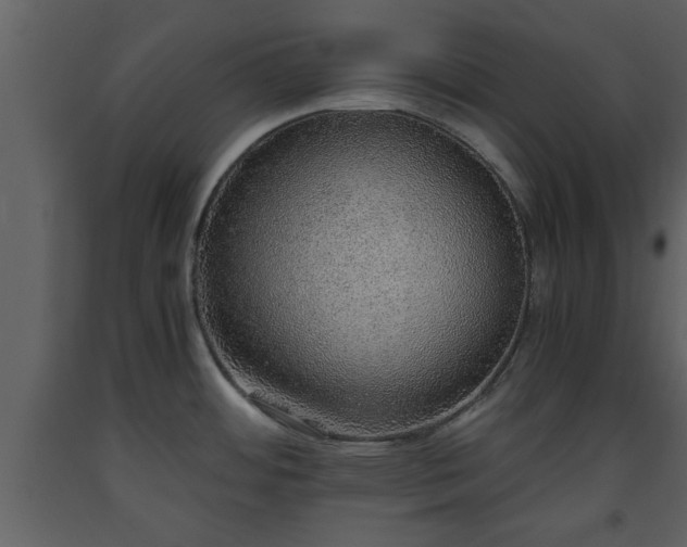 X0000093441484200710191030
