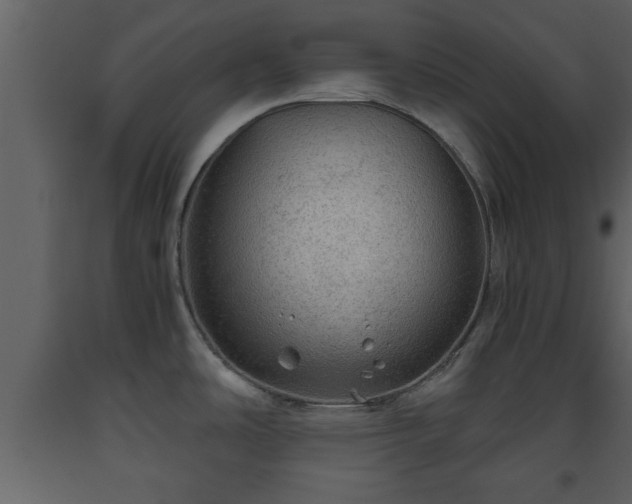 X0000093441486200710191030