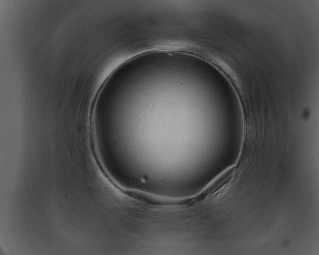 X0000093441487200710191030