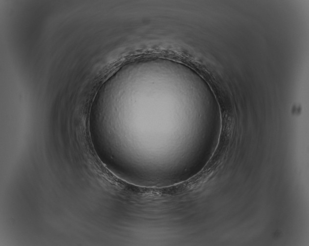 X0000093441489200710191029