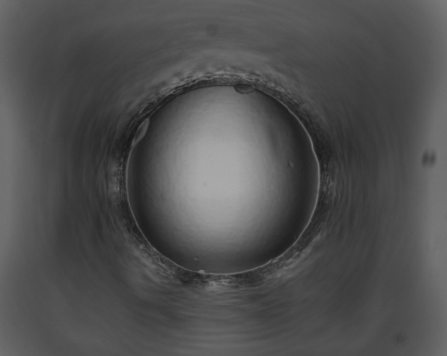 X0000093441490200710191029