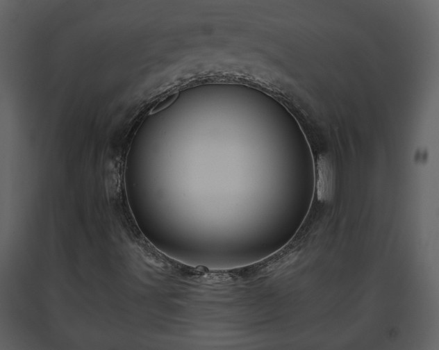 X0000093441491200710191029