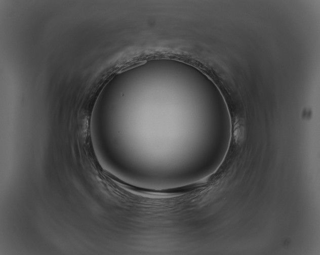 X0000093441492200710191029