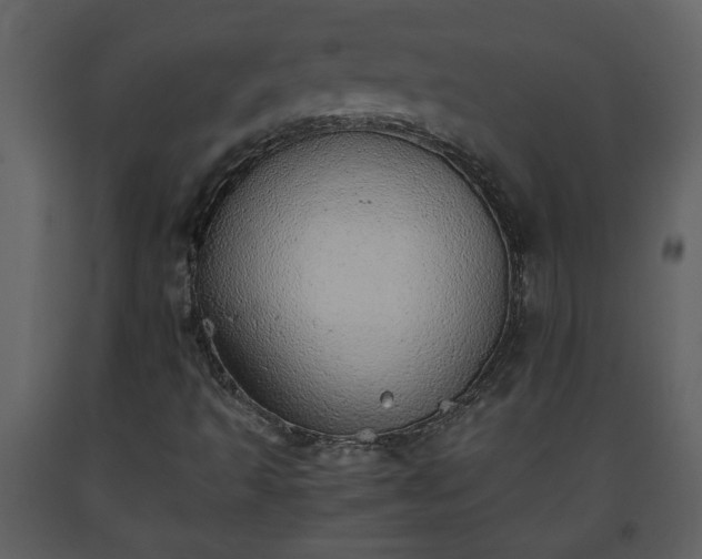 X0000093441493200710191029