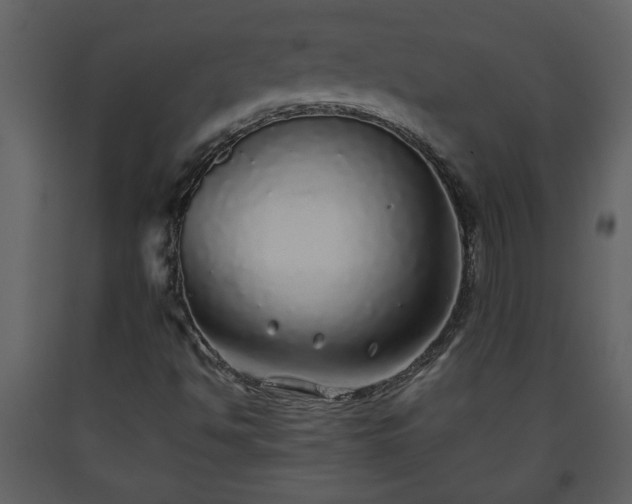 X0000093441494200710191029