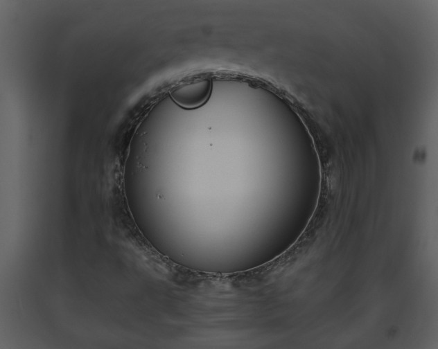 X0000093441495200710191029