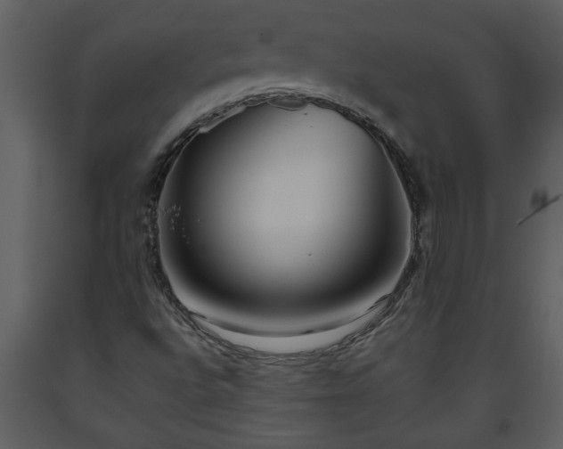 X0000093441496200710191029