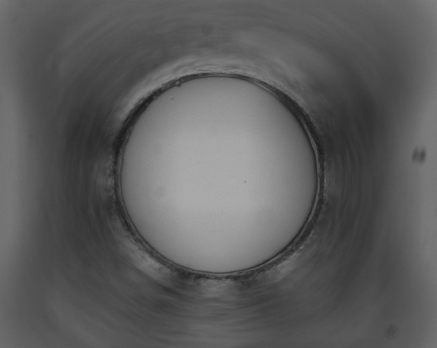 X0000093441498200710191029