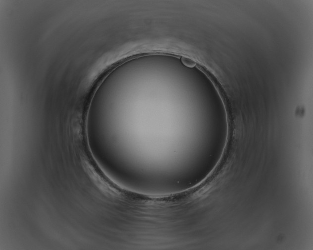 X0000093441499200710191029