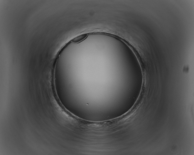 X0000093441500200710191029