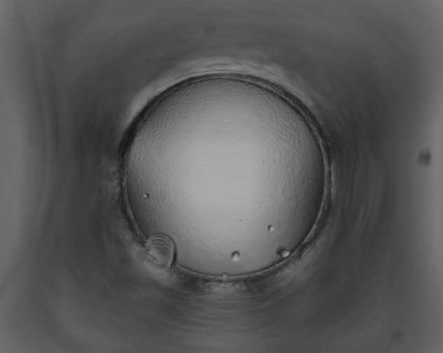 X0000093441501200710191029