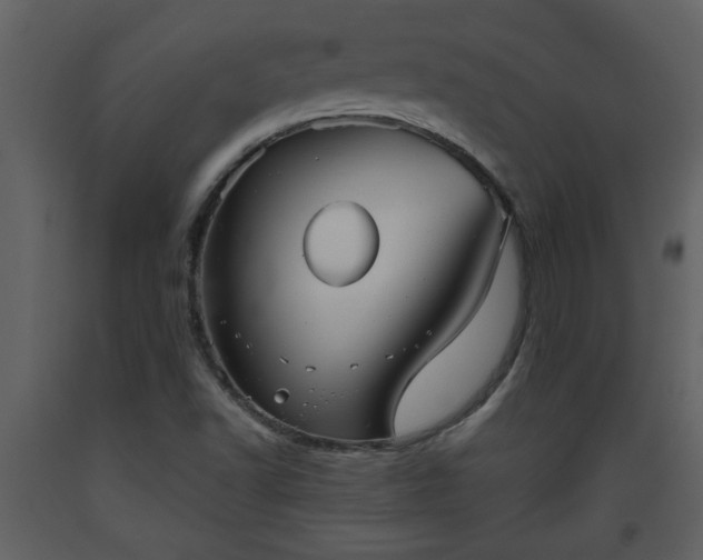 X0000093441502200710191029